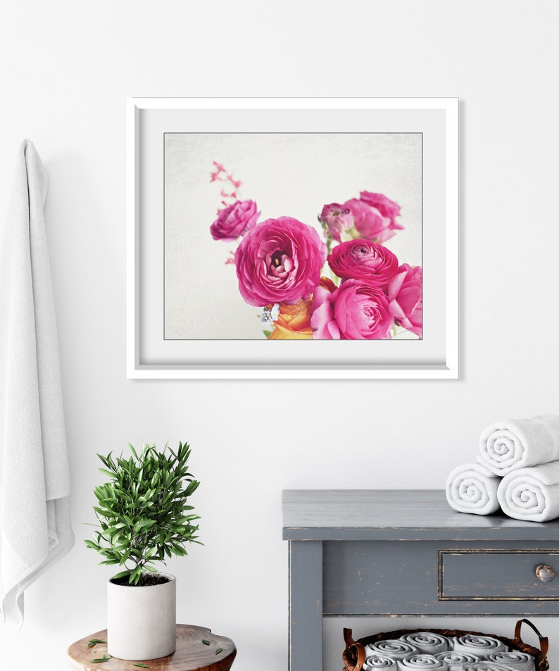 Flower Photography Botanical Wall Art, Flower Still Life Print, Floral Wall Art, Ranunculus Flowers, Bedroom Wall Art, Pink White Print image 5