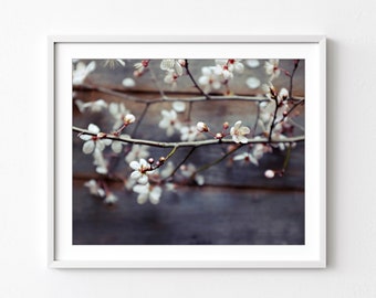 Flower Still Life Print - Plum Blossoms Photograph, Rustic Country Kitchen Decor, Pink Brown, 8x10 16x20, Wood Pink Blossoms Floral Wall Art