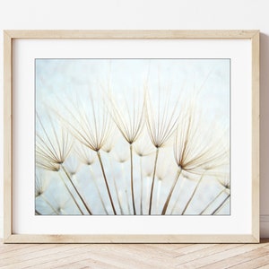 Dandelion Print Nature Photography, Pale Blue Botanical Art, Nature Print, Dandelion Wall Art, Ethereal Nature Wall Art, 8x10 11x14 Print image 4