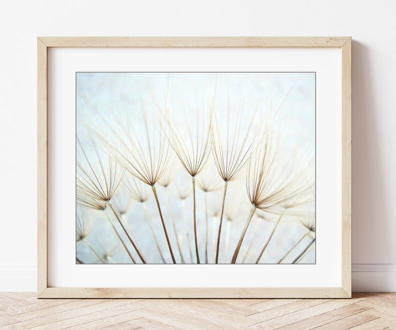 Dandelion Print Nature Photography, Pale Blue Botanical Art, Nature Print, Dandelion Wall Art, Ethereal Nature Wall Art, 8x10 11x14 Print image 4