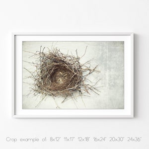 Bird Nest Print Nature Photography, Rustic Wall Art, Minimal Modern Still Life Photography, Neutral Farmhouse Decor, Gray Brown, Art Print image 6