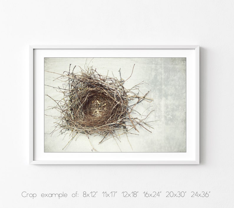 Bird Nest Print Nature Photography, Rustic Wall Art, Minimal Modern Still Life Photography, Neutral Farmhouse Decor, Gray Brown, Art Print image 6