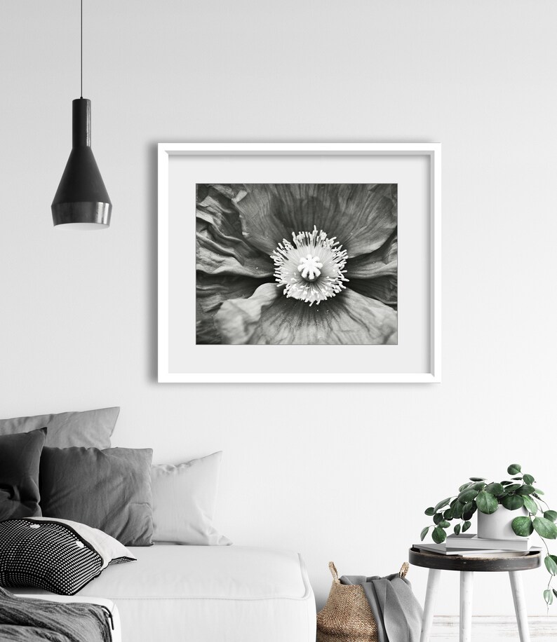 Poppy Flower Print Black and White Photography Botanical Etsy