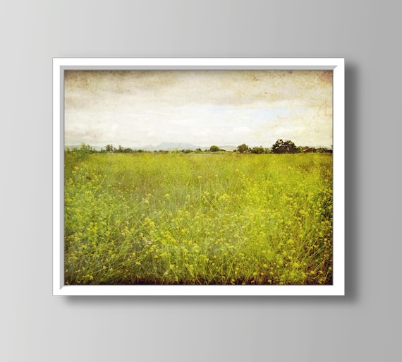 Landscape Photography - Flower Meadow Rustic Wall Art Olive Green Decor California Wall Art Nature Photography // Mustard Field