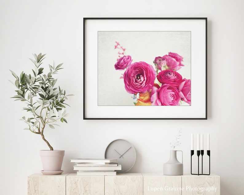 Flower Photography Botanical Wall Art, Flower Still Life Print, Floral Wall Art, Ranunculus Flowers, Bedroom Wall Art, Pink White Print image 2