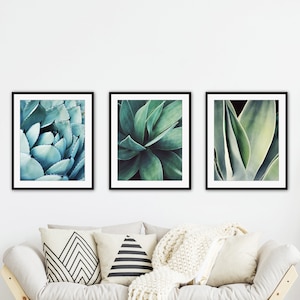 Agave Leaf Prints - Blue Green Wall Art, Botanical Nature Photography, Living Room Art, 8x10 11x14 Prints - Save 30% bild 2