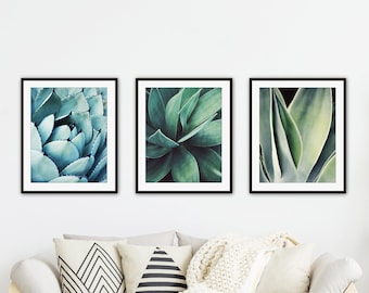 Set of Three Prints, Agave Leaves Print Set, Desert Decor, Cactus Succulent Wall Art, Turquoise Green Botanical Art Nature Photography