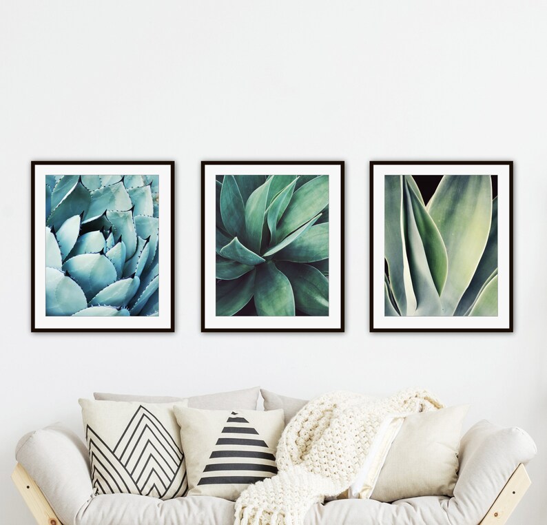 Agave Leaf Prints - Blue Green Wall Art, Botanical Nature Photography, Living Room Art, 8x10 11x14 Prints - Save 30% bild 2