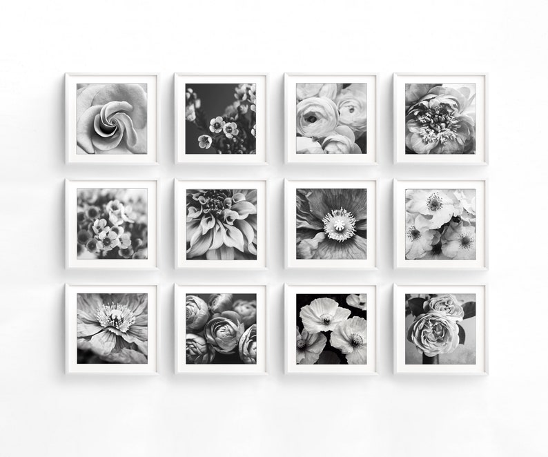Flower Photography Set of 12 Prints Black and White Photography, Botanical Prints, Floral Wall Art, Gallery Wall Set, 5x5 8x8 Prints imagem 2