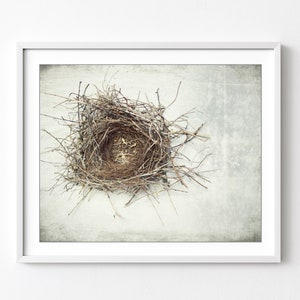 Bird Nest Print Nature Photography, Rustic Wall Art, Minimal Modern Still Life Photography, Neutral Farmhouse Decor, Gray Brown, Art Print image 3