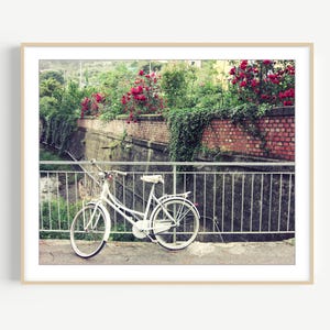 Bicycle Print Italy Travel Photography, Red Roses, Bridge Wall Art
