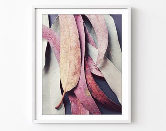 Eucalyptus Leaves Print - Botanical Wall Art, Nature Still Life Photography, 8x10 16x20 Print, Pink Beige, Leaves Print, Nature Wall Art