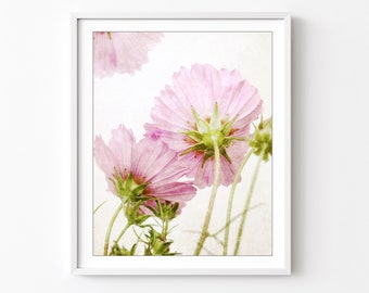 Cosmos Flowers, Photography Print, Floral Wall Art, Pink Green, Botanical Print, Flower Photography, Nature Photography