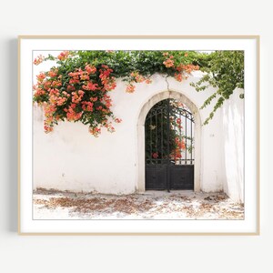 Greece Photograph Orange Trumpet Vine Archway, Travel Wall Art