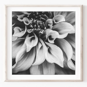 Flower Photography Set of 12 Prints Black and White Photography, Botanical Prints, Floral Wall Art, Gallery Wall Set, 5x5 8x8 Prints imagem 4