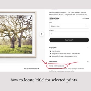 Set of Three Photography Prints / Save 30% / 3 Prints / Custom Set image 9