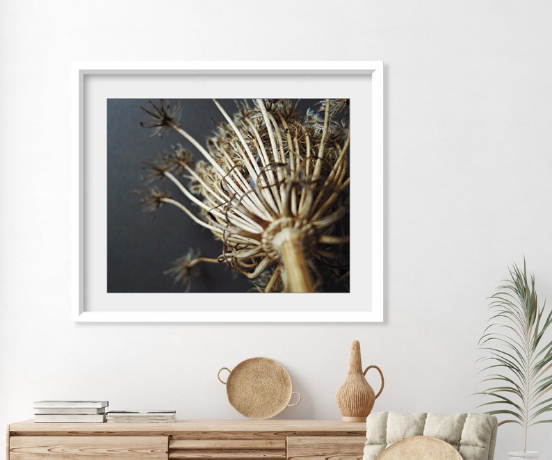 Queen Anne's Lace Print Nature Photography, Minimal Modern Rustic Wall Art, Still Life Photography Print, Earthy Decor, Gray Brown Decor image 4