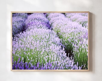 Lavender Field Print, Purple Green Wall Art, Nature Photography, Serene Bedroom Decor