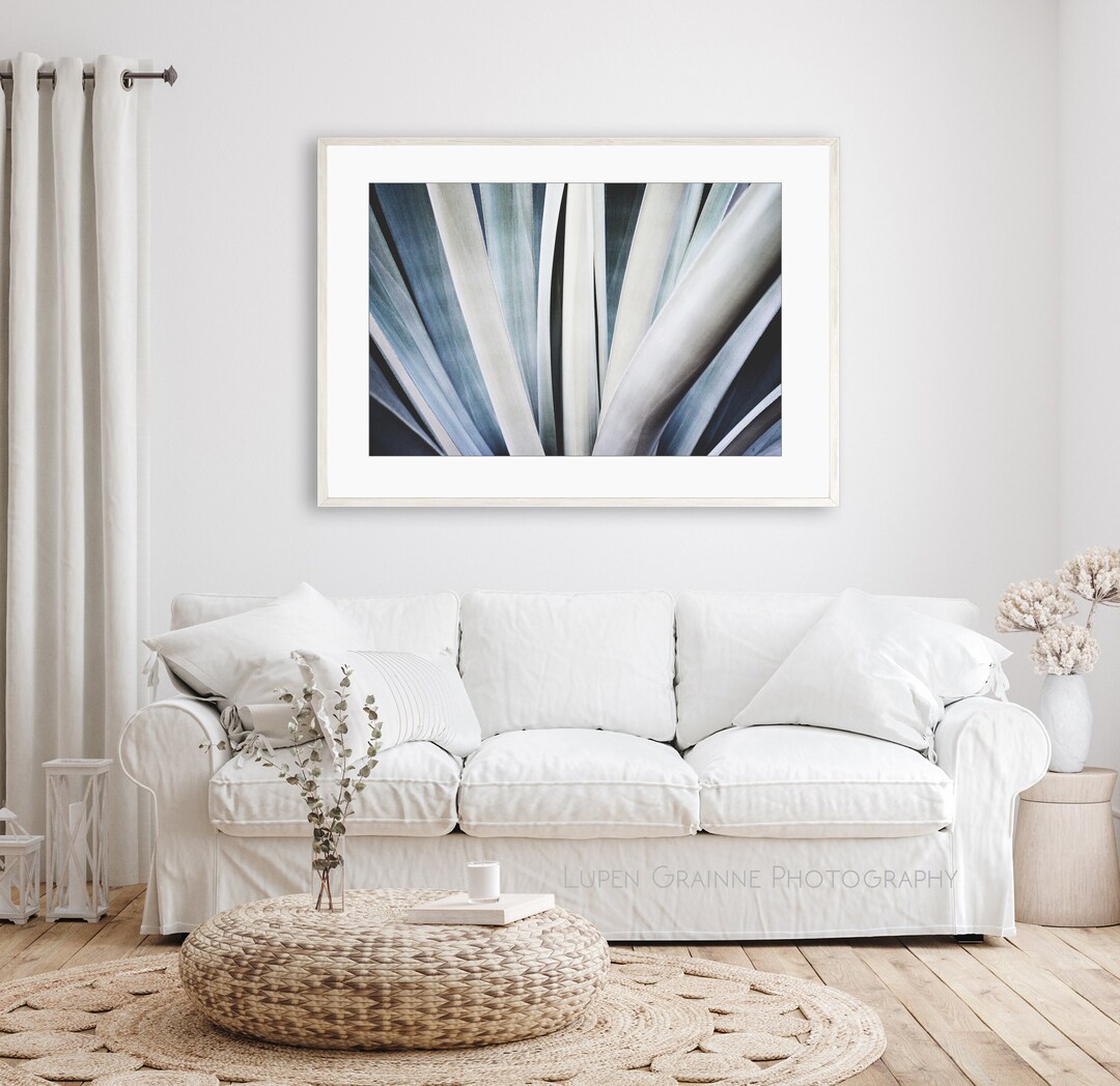 Agave Leaves Print Abstract Nature Wall Art, Nature Photography