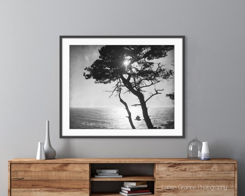 Cypress Tree Print Black and White Photography, Tree Wall Art For Living Room, Coastal Wall Art Decor, Nature Photography 8x10 16x20 Print image 2