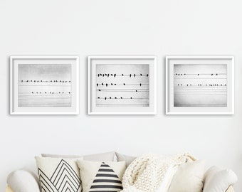 Birds on Wires - Set of Three Prints, Black and White Photography Prints, Gallery Wall, Triptych Print Set, Gray Minimal Living Room Decor