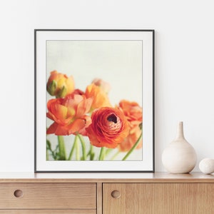 Still Life Photography Ranunculus Flowers Print Floral Wall Art image 3