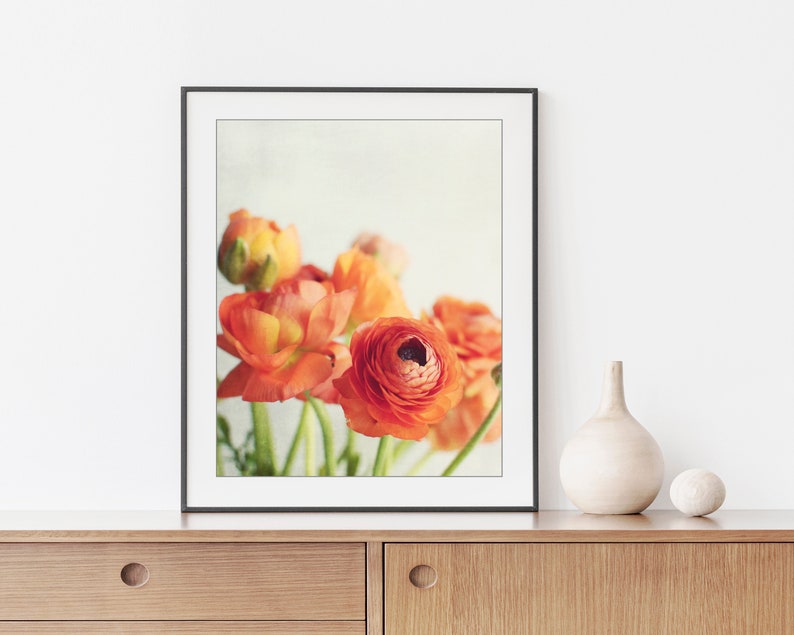 Still Life Photography Ranunculus Flowers Print Floral Wall Art image 3