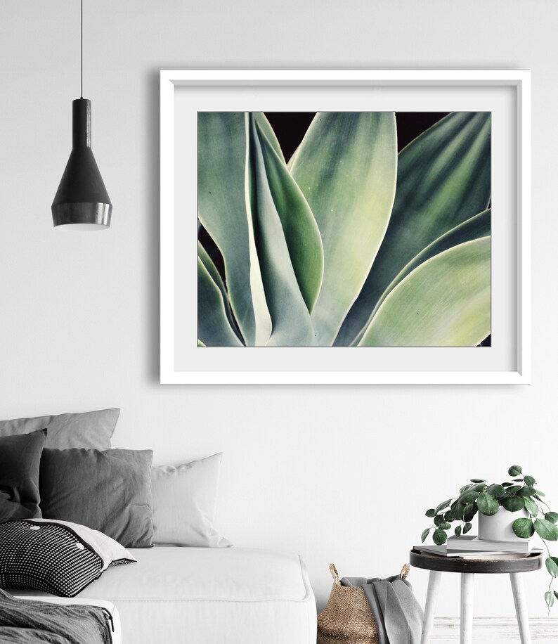 Agave Print, Nature Photography, Sage Green Wall Art, Botanical Print, Desert Southwest Decor, Succulent Wall Art, 8x10 16x20 Print image 5