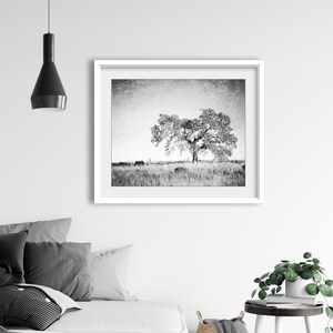 Oak Tree Photograph Black and White Wall Art Landscape Photography, Tree Wall Art, Nature Photography, Gray Nature Wall Art image 6