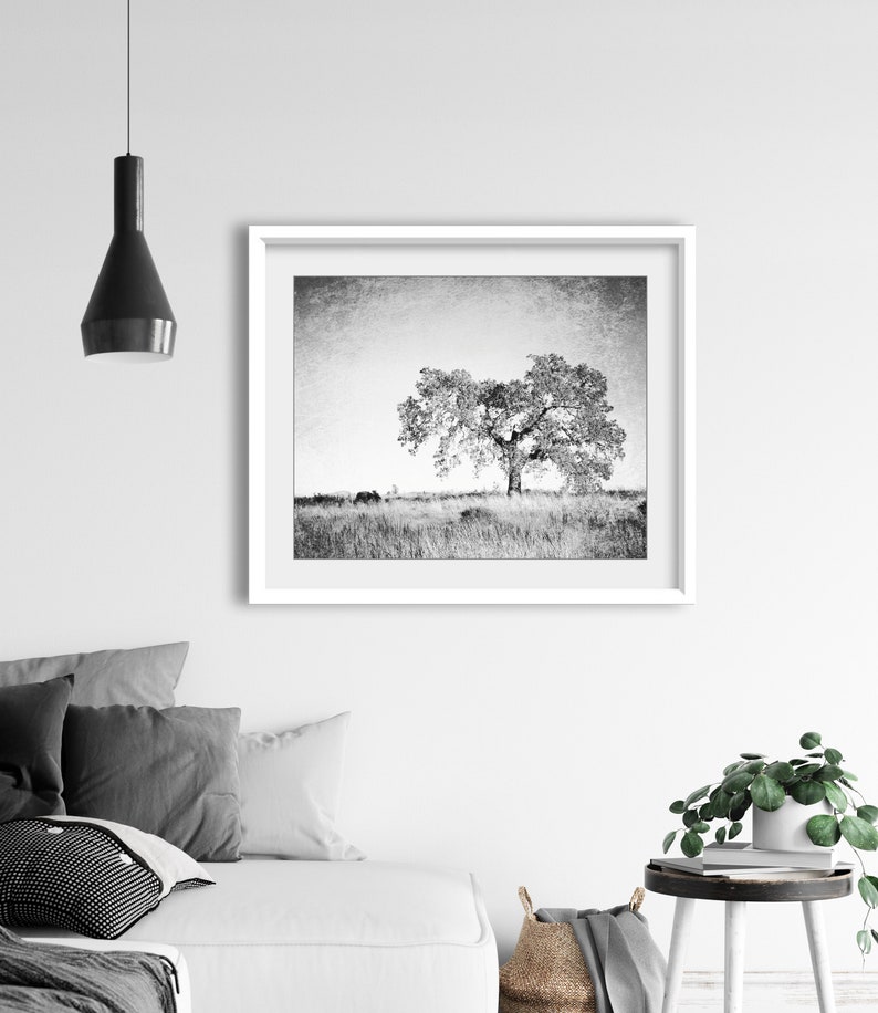 Oak Tree Photograph Black and White Wall Art Landscape Photography, Tree Wall Art, Nature Photography, Gray Nature Wall Art image 6