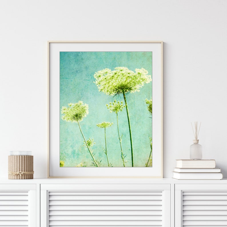 Flower Photography Queen Anne's Lace Print, Floral Aqua Blue Green Wall Art, Nature Photography, 8x10 11x14, Wildflower Botanical Wall Art image 1