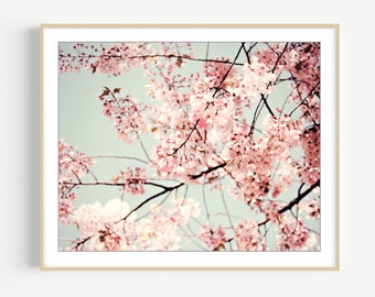 Cherry Blossom Print - Flower Photography, Floral Wall Art, Nature Photography, Botanical Art Print, Blush Pink, 8x10 11x14, Sakura Art