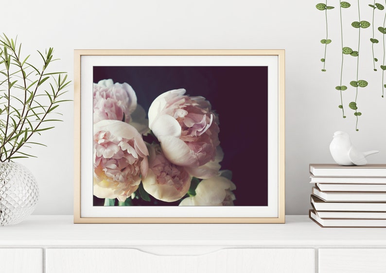 Peony Photograph, Flower Still Life Print, Peony Wall Art, Dark Floral Wall Art, Botanical Print image 2