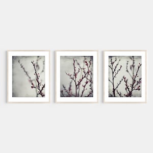 Plum Tree Branches, Nature Photography, Set of 3 Prints, Botanical Prints, Gray Burgundy, Nature Prints, Gallery Wall, Living Room Decor