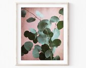 Eucalyptus Leaves Print -...