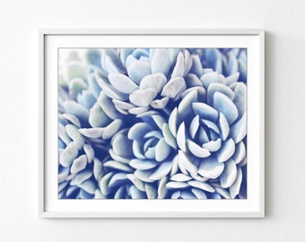 Pale Blue Succulent Print, Nature Photography, Botanical Nature Wall Art