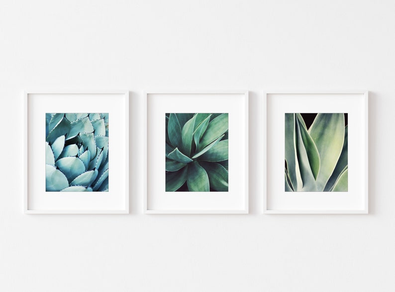 Agave Leaf Prints - Blue Green Wall Art, Botanical Nature Photography, Living Room Art, 8x10 11x14 Prints - Save 30% bild 5