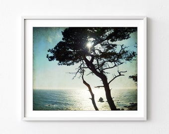 Cypress Tree Photograph - Ocean Photography, California Coastal Wall Art, Ocean Print, Blue Black, Beach Photography, Nature Photography