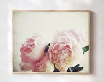 Peony Flower Photograph, Pale Pink Floral Wall Art, Botanical Print, Bedroom Wall Decor