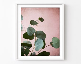 Eucalyptus Leaves Print, Still Life Photography, Botanical Print, Pink Wall Art, Sage Green Leaves, 8x10 16x20 Print