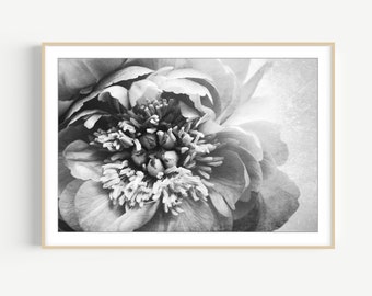 Peony Flower Print - Black and White Photography, Gray Wall Art, Rustic, Abstract, Floral Botanical Art, Bedroom Wall Art, 8x10 16x20 Print