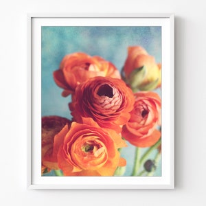 Flower Photography - Botanical Print. Ranunculus Flowers. Colorful. Floral Wall Art. Orange Aqua, Bedroom Wall Art, 8x10 16x20 Print