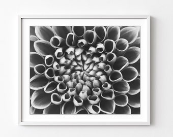 Dahlia Flower Print - Black and White Photography Print, Floral Wall Art, Large Wall Art, Botanical Art, Mandala, Nature Photography