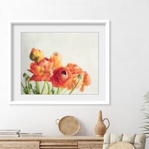 Still Life Photography Ranunculus Flowers Print Floral Wall Art image 8