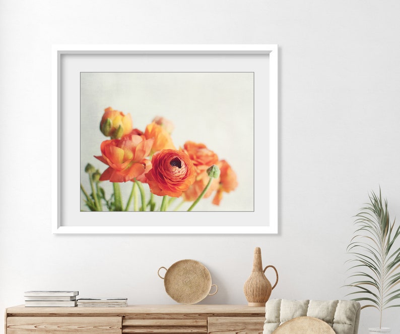 Still Life Photography Ranunculus Flowers Print Floral Wall Art image 8