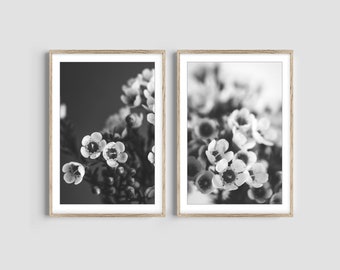 Black and White Flower Photography, Set of 2 Prints, Black and White Floral Wall Art, Living Room Art, Monochrome, Bedroom Decor