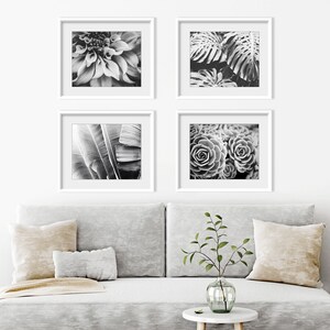 Set of Four Prints Botanical Print Set Black and White Photography, 8x10 11x14 Print Set, Nature Photography Print Set Wall Art image 3