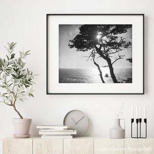 Cypress Tree Print Black and White Photography, Tree Wall Art For Living Room, Coastal Wall Art Decor, Nature Photography 8x10 16x20 Print image 4