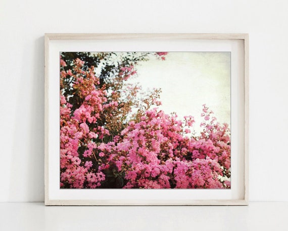 Flower Photography Pink Floral Wall Art Crepe Myrtle | Etsy