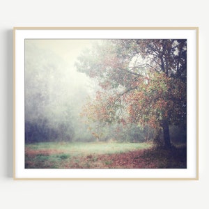 Tree Photography Print Autumn Landscape Photograph, Moody, Fine Art Photography, 8x10 16x20, Meadow, Rustic Nature Photography